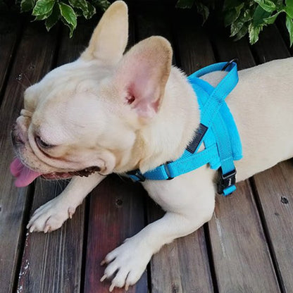 Harnais pour chien coucher bleu pâle