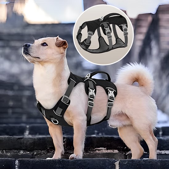 Harnais pour chien détails