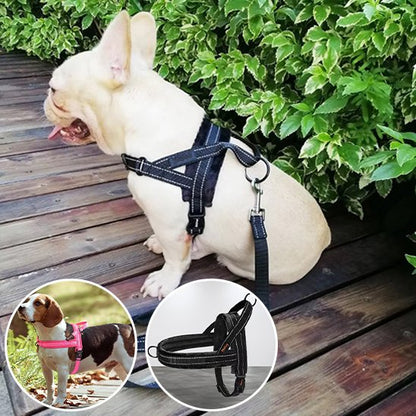 Harnais pour chien noir et rose Bouledogue