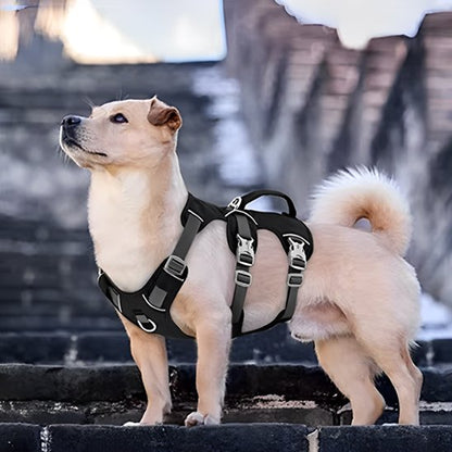 Harnais pour chien noir