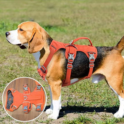 Harnais pour chien orange détails