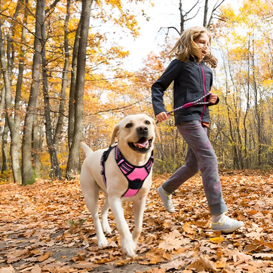 Harnais pour chien rose clair