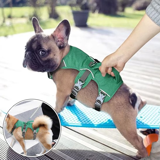 Harnais pour chien vert détails