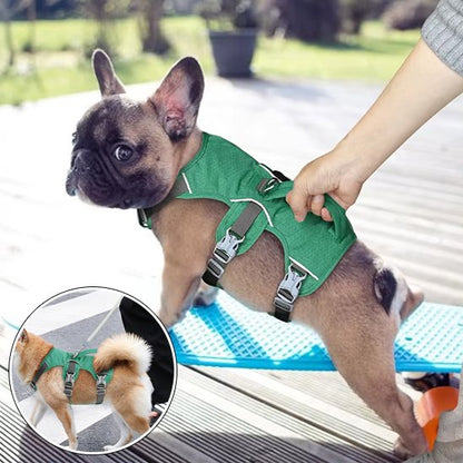Harnais pour chien vert détails