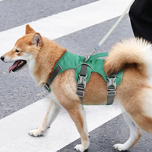 Harnais pour chien vert