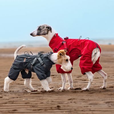 Imperméable pour chien ajustable noir rouge
