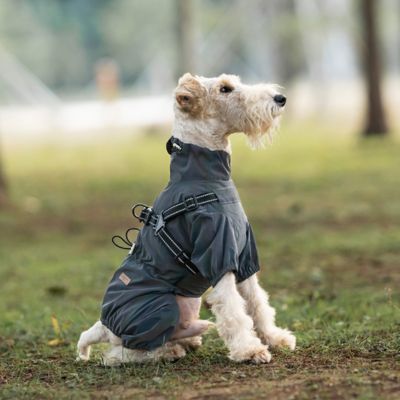 Imperméable pour chien ajustable noir terrier assis