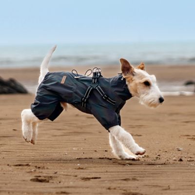 Imperméable pour chien ajustable noir