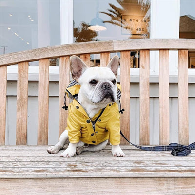 Imperméable pour chien jaune Bouledogue