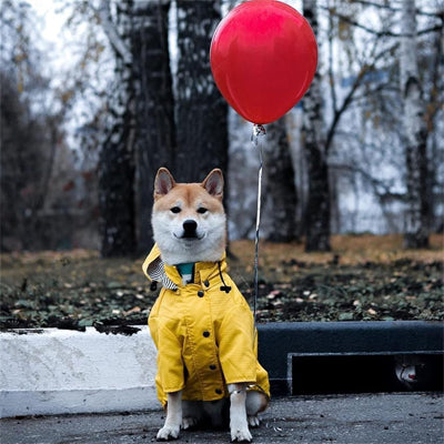 Impermeable pour chien jaune Shiba