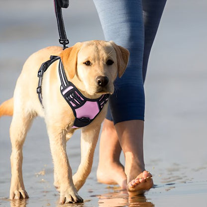 Labrador plage harnais pour chien rose 