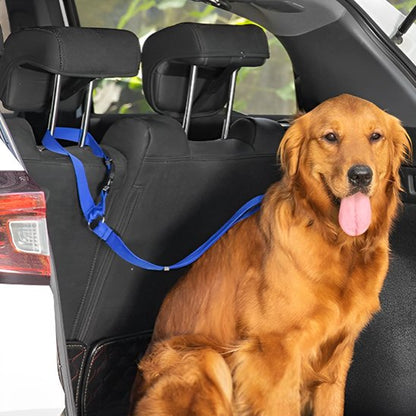 Laisse chien valise voiture