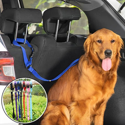 Laisse chien voiture multiple couleur
