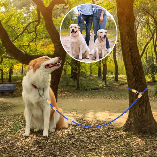 Laisse double pour chien bleu assis