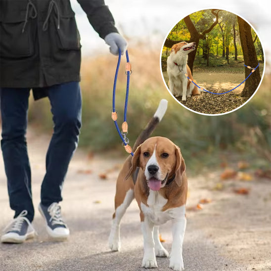 Laisse double pour chien bleu Beagle