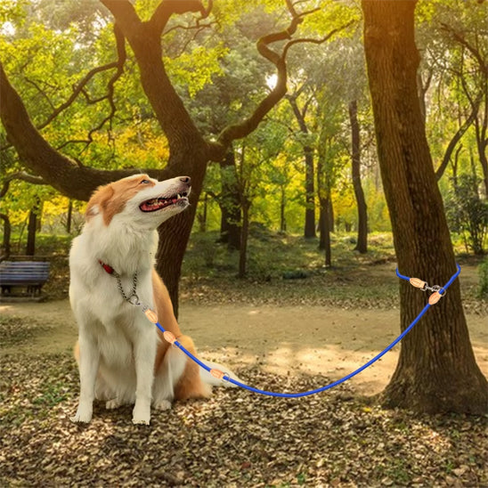 Laisse double pour chien bleu Border assis