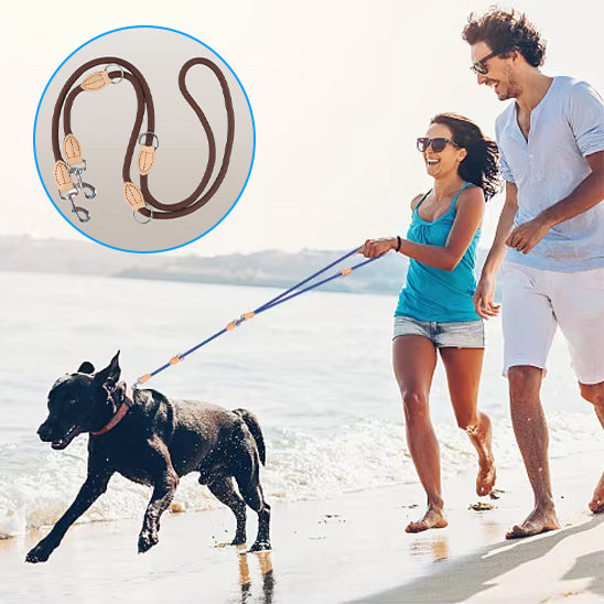 Laisse double pour chien bleu et marron