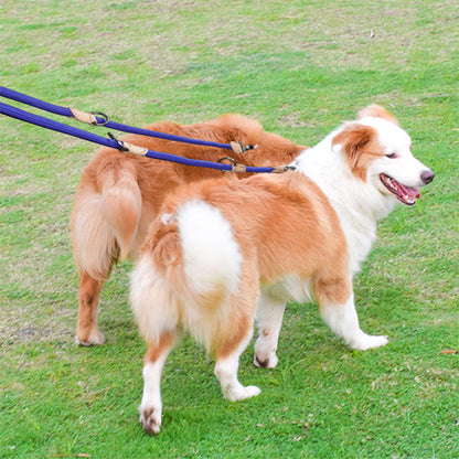 Laisse double pour chien bleu