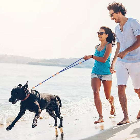 Laisse double pour chien court plage