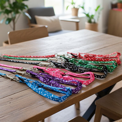 Laisse pour chien nylon multicolore 2