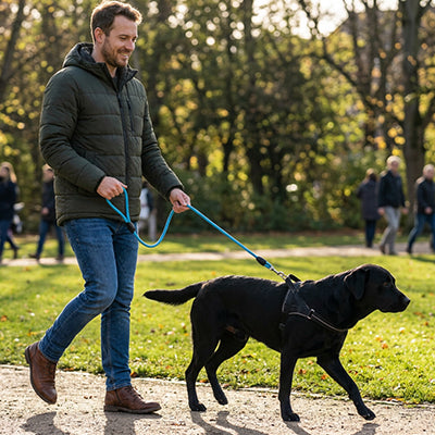 Longe pour chien corde bleu parc