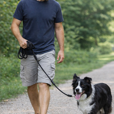 Longe pour chien corde noir parc