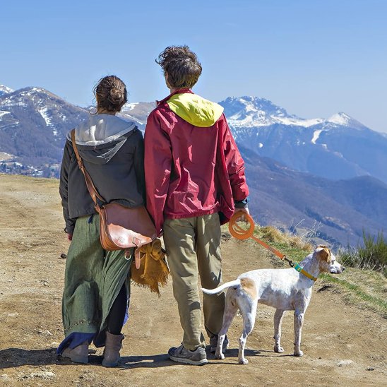 Longe pour chien orange montagne