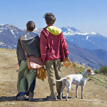 Longe pour chien orange montagne