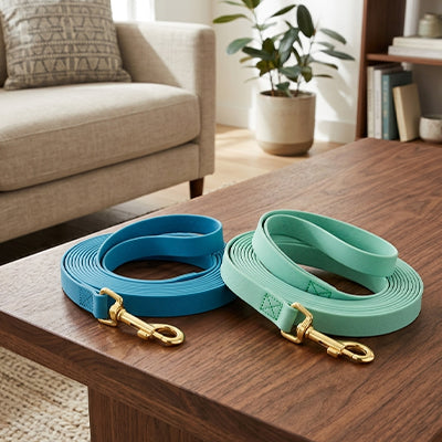 Longe pour chien plate bleue et verte