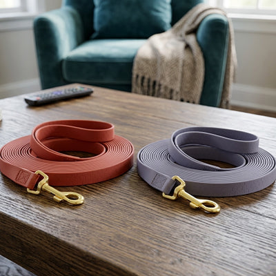 Longe pour chien plate grenat mauve