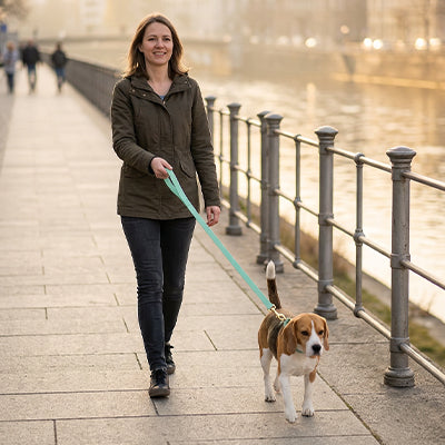 Longe pour chien plate verte canal