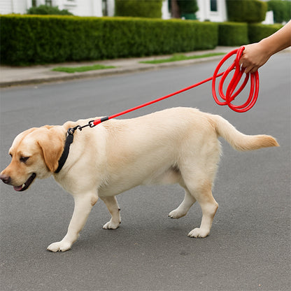 Longe pour chien pvc rouge