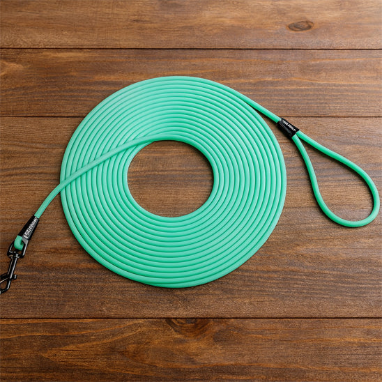 Longe pour chien pvc turquoise