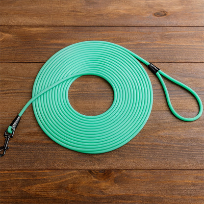 Longe pour chien pvc turquoise