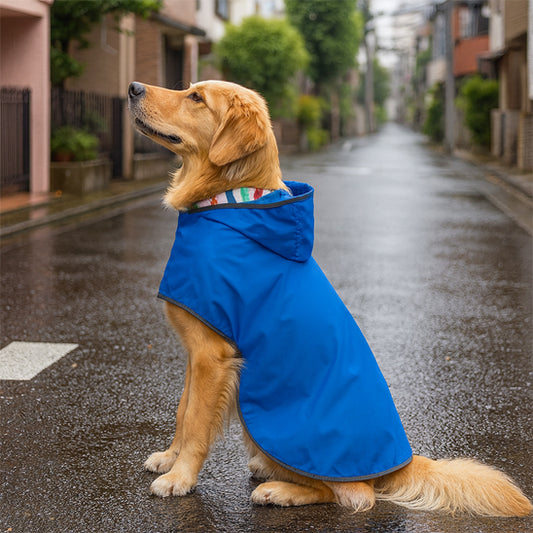 Manteau chien bleu Golden Retriever