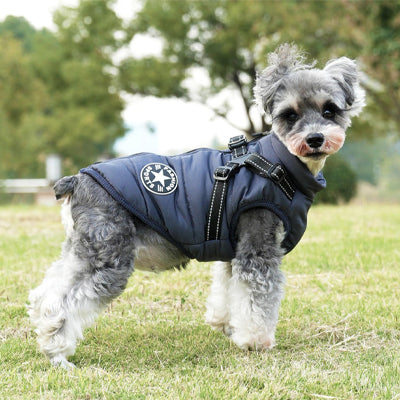 Manteau chien bleu marine