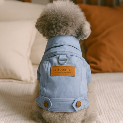 Manteau chien jeans bleu dos
