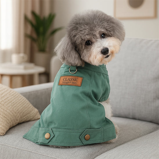 Manteau chien jeans vert dos