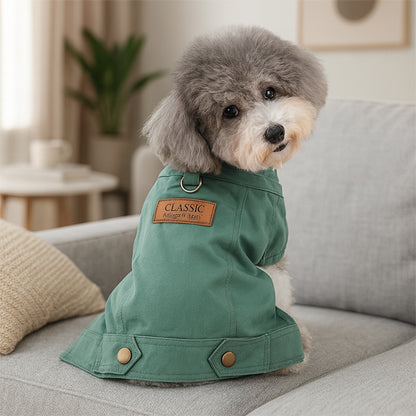 Manteau chien jeans vert dos