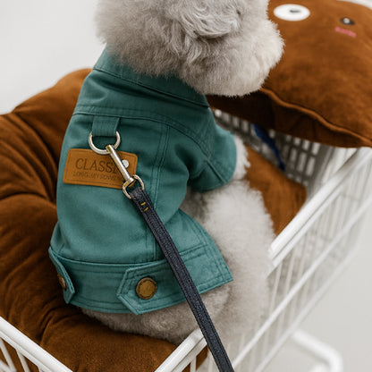 Manteau chien jeans vert