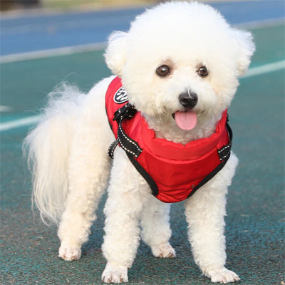 Manteau chien rouge Caniche