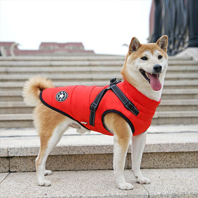 Manteau chien rouge Shiba Inu