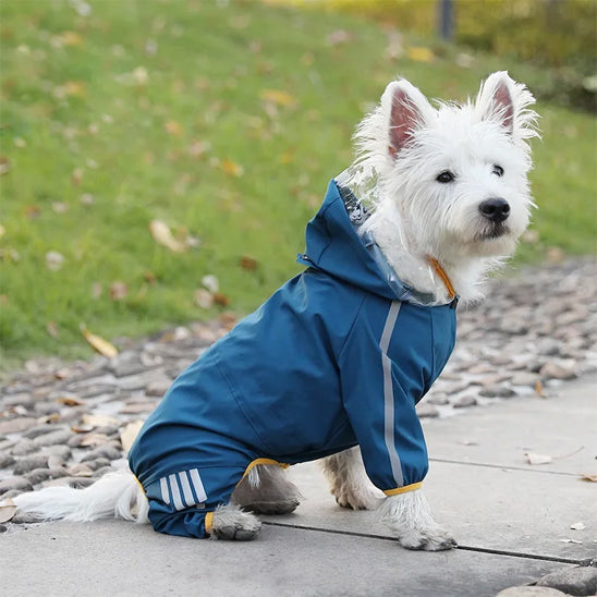 Manteau pour chien bleu westie