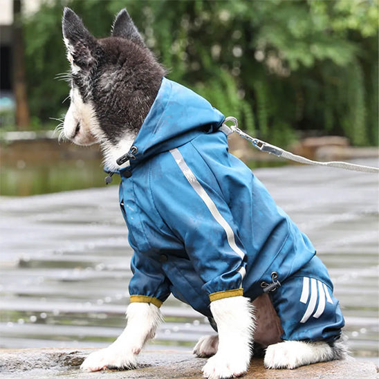 Manteau pour chien bleu