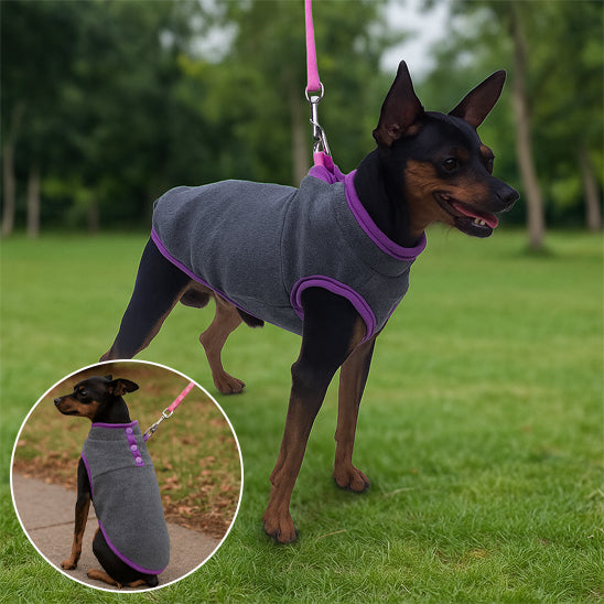 Manteau pour chien polar gris dos