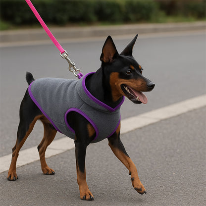 Manteau pour chien polar gris Pinscher