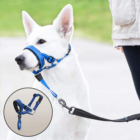 Muselière chien | Confort Respirant
