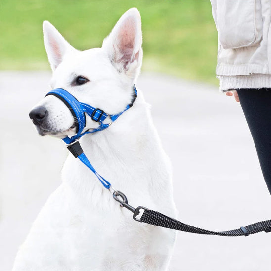 Muselière chien | Confort Respirant