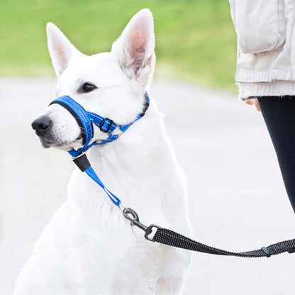 Muselière chien | Confort Respirant