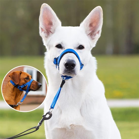 Muselière chien | Confort Respirant